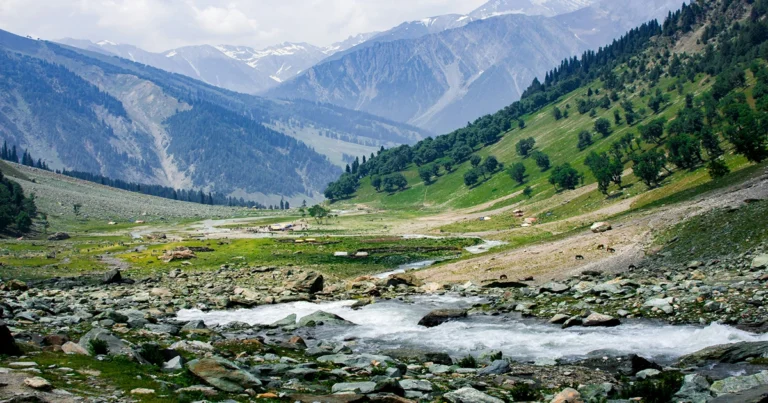 Kashmir Stands Strong: A Land of Timeless Beauty, Warmth, and Safe Travel