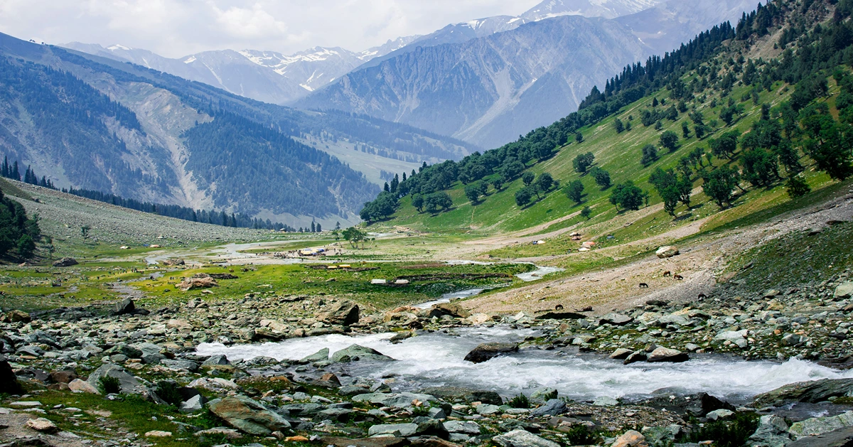 Kashmir Stands Strong: A Land of Timeless Beauty, Warmth, and Safe Travel