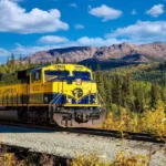 Alaska Dome Train Ride With Panoramic Views