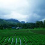 Monsoon travel