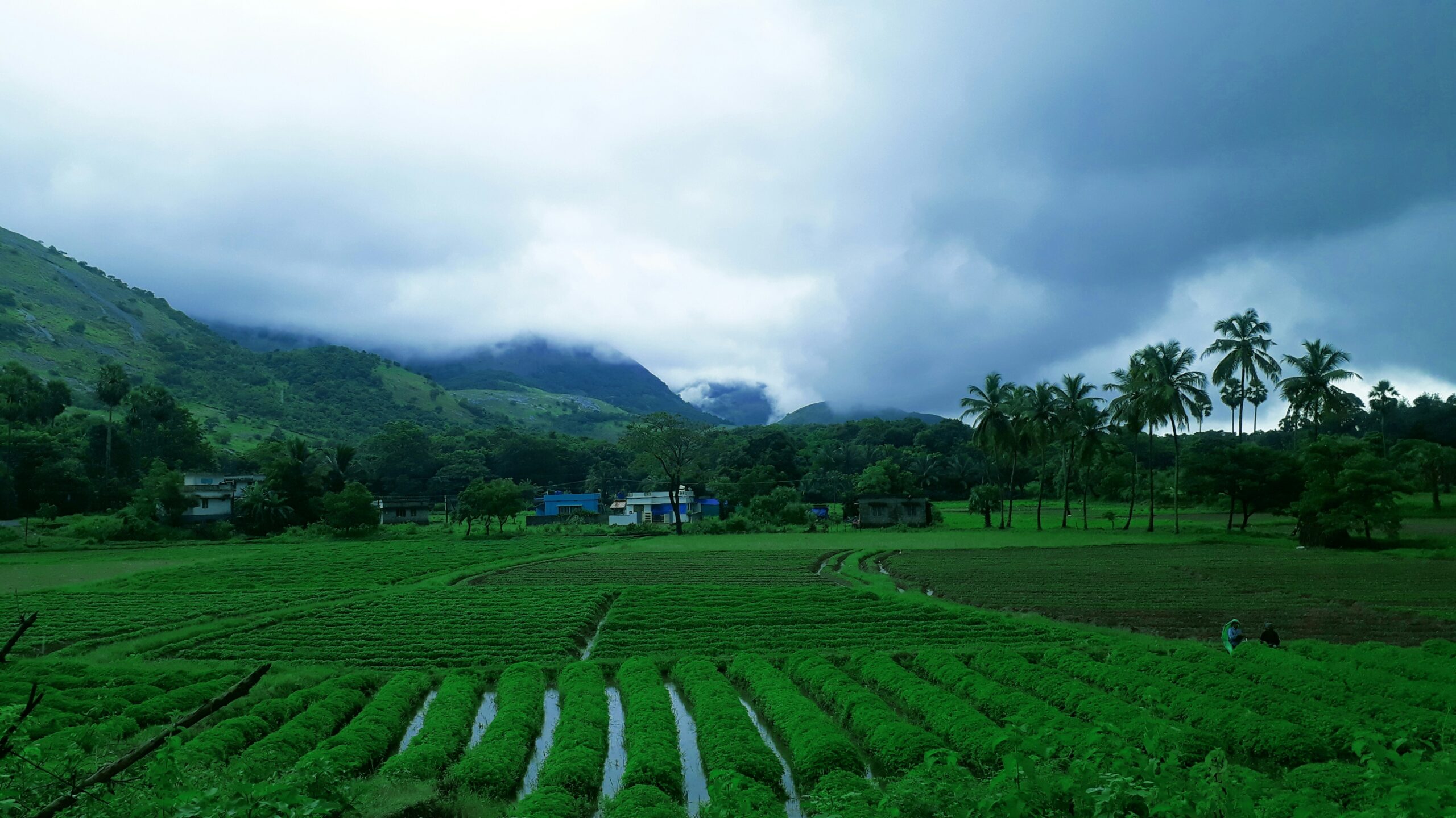 Monsoon travel